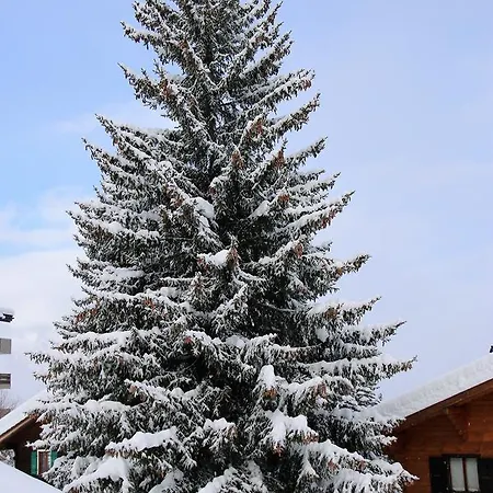 Alpvision Residences La Tzoumaz-verbier 2 Апартаменты Ла-Тзума