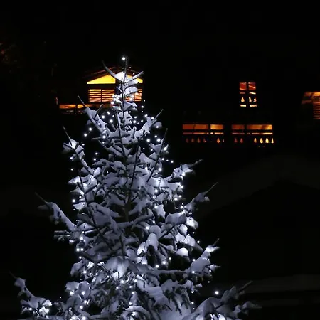 Апартаменты Alpvision Residences La Tzoumaz-verbier 2 Ла-Тзума